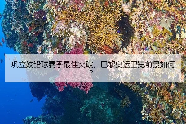 巩立姣铅球赛季最佳突破，巴黎奥运卫冕前景如何？