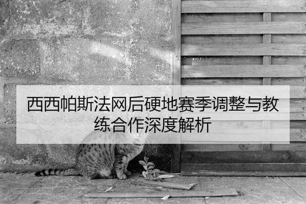 西西帕斯法网后硬地赛季调整与教练合作深度解析