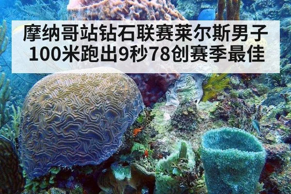 摩纳哥站钻石联赛莱尔斯男子100米跑出9秒78创赛季最佳